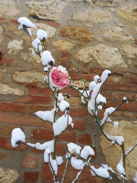 Agriturismo Ardene Villa Montepulciano Stazione Eksteriør bilde